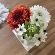 ちょこぷぅ