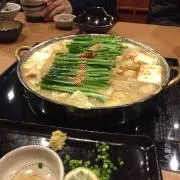 ツヨポンの画像