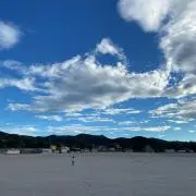 maaaの画像