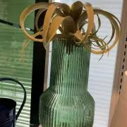 クーカバラ⭐︎ SALEの画像