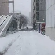 ヒカリの画像