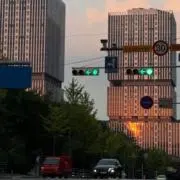 おもちの画像