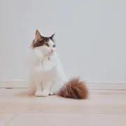 yuki..33の画像