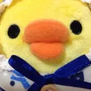 るる※購入前コメントお願い致します※の画像