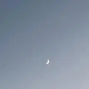 hommmの画像