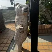 みゆの画像