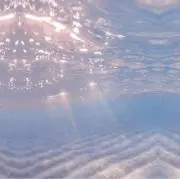 Sの画像