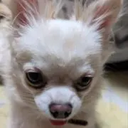 くうたろうショップの画像