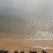 mikoの画像