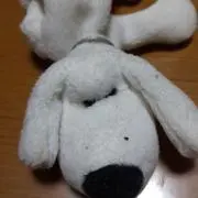 ひろ　プロフ必読✨