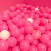 さくらの画像