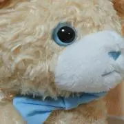 しろ。の画像