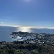 楓