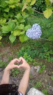 ままこの画像