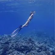 MMoの画像