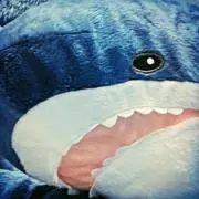 翡翠　断捨離中の画像