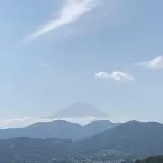 りぷるの画像