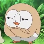 モクロムの画像
