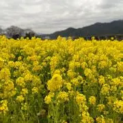 Yutoの画像