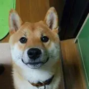 ぼじゃ【断捨離中！】の画像