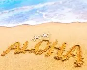 着払い❁⃘*送料安く❁⃘*Aloha♡の画像