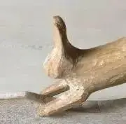 うさこの画像