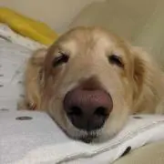 むうの画像
