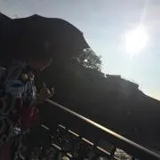 Sの画像