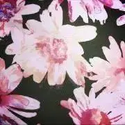 ちゃる。の画像