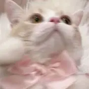 さぁやの画像