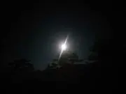 マコト