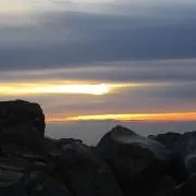 つるたて