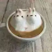 こたゆりの画像