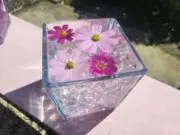 Lの画像