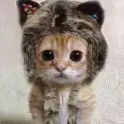 ますみお