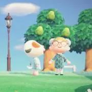こまつの画像