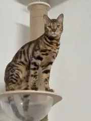カナン