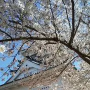 あつこ