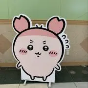 かにちゃんの画像
