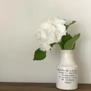 Lilyの画像