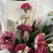 pinkの画像