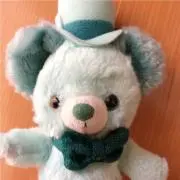ミントの画像