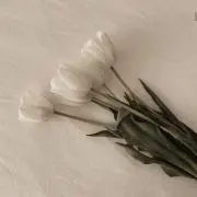 mの画像
