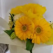 みさこの画像