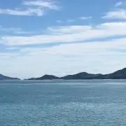 ぼくの画像