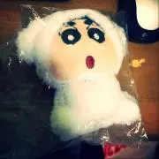 あしの画像