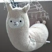 あるぱかんの画像