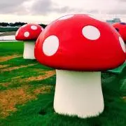 ふらとまの画像