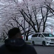 つっきー