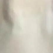 。の画像